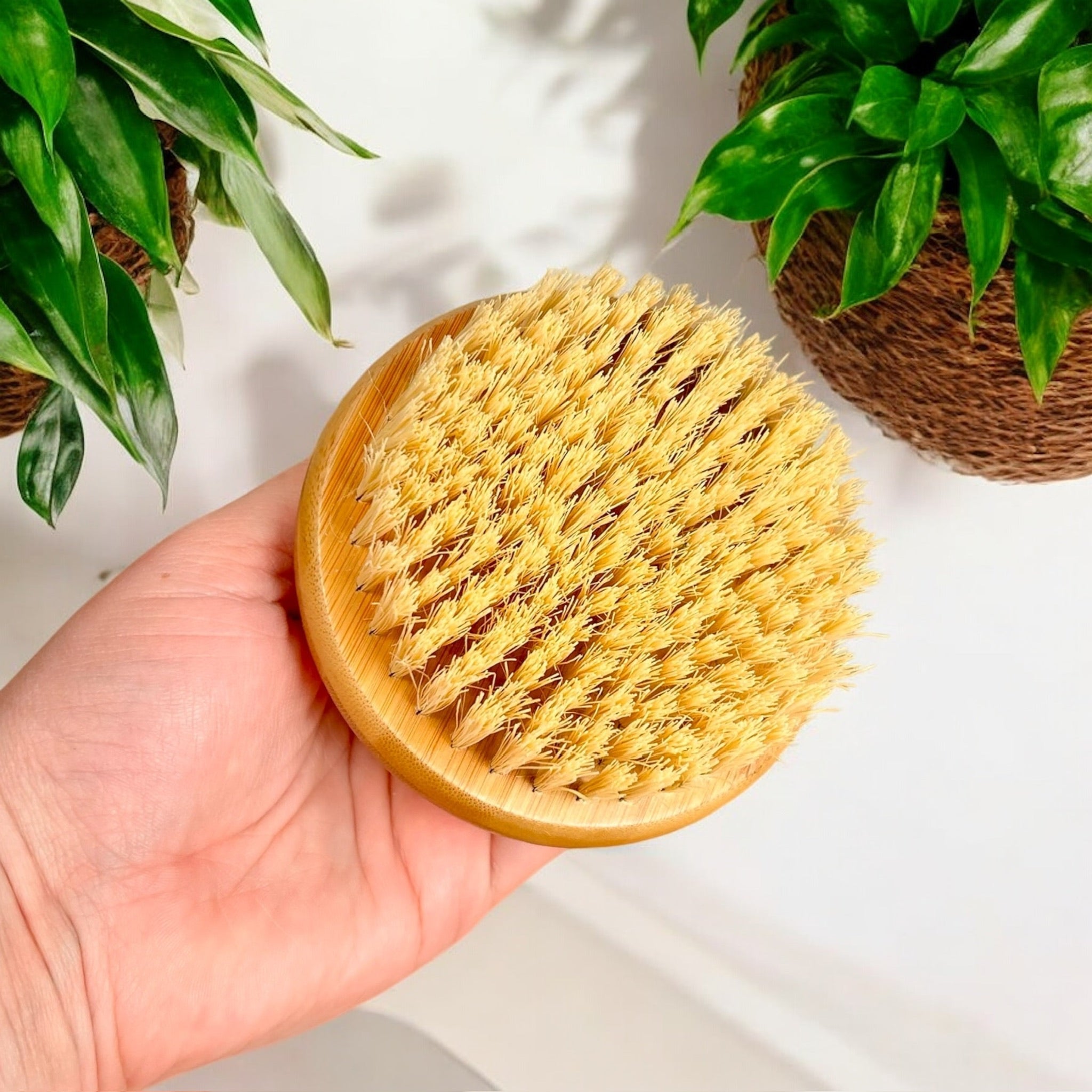 Bamboo Rounded Brush with Natural Bristles