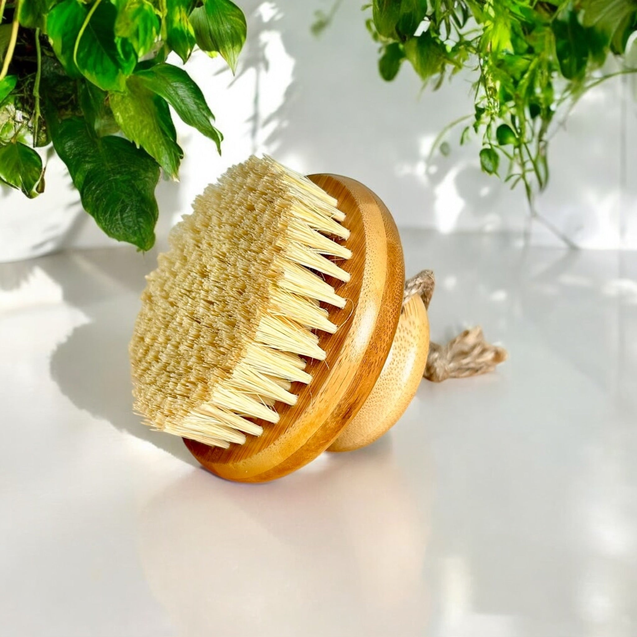Bamboo Rounded Brush with Natural Bristles