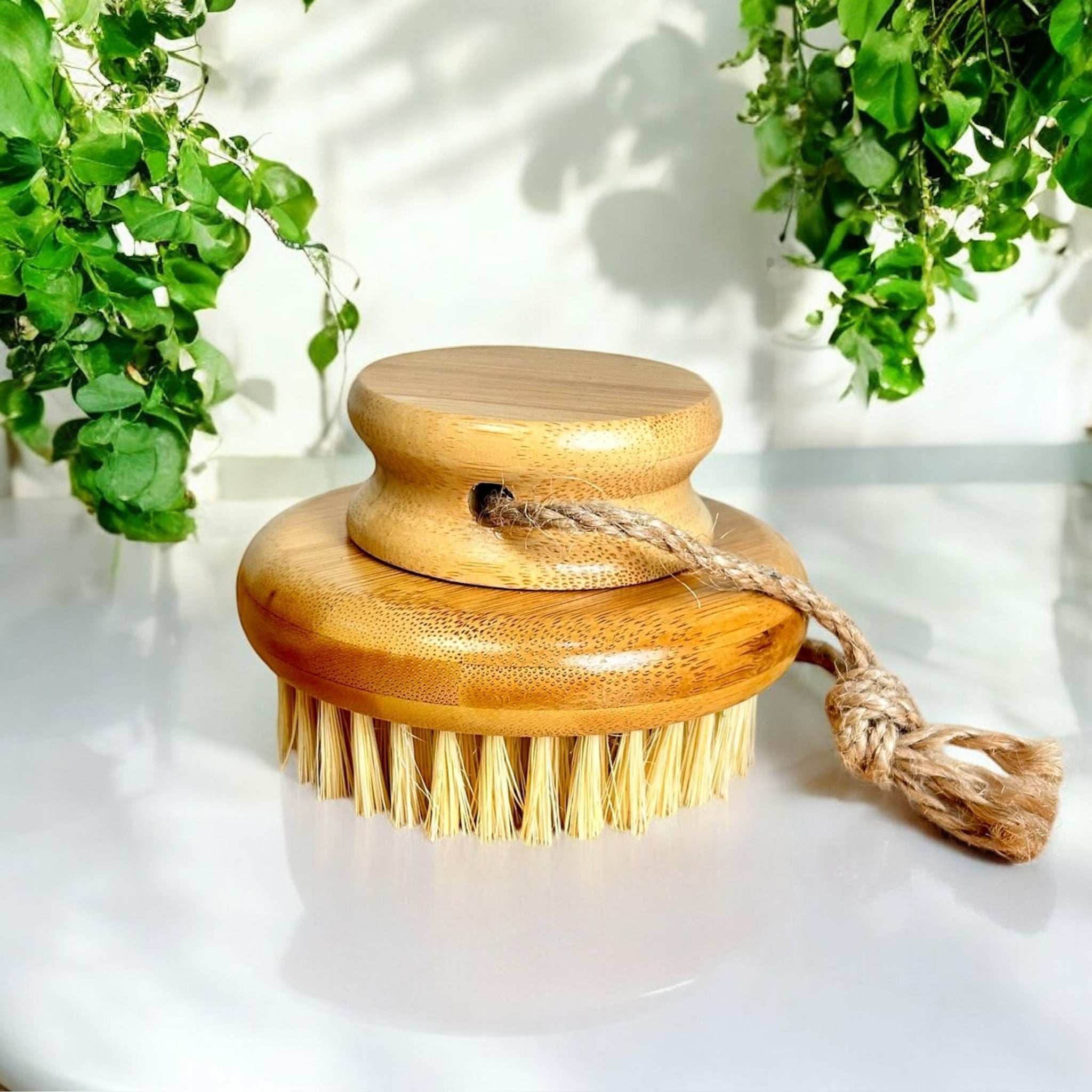 Bamboo Rounded Brush with Natural Bristles