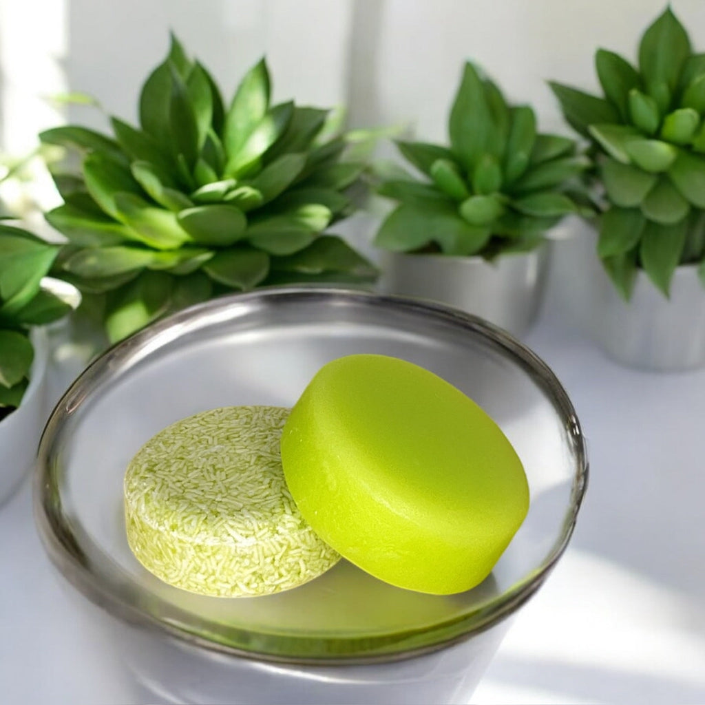 Shampoo & Conditioner Bundle | Aloe