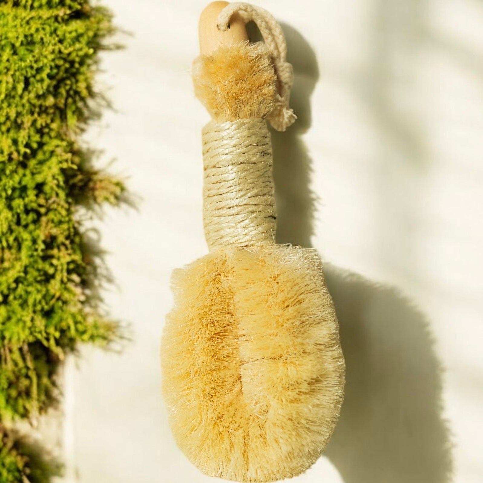 Sisal Dry Brush